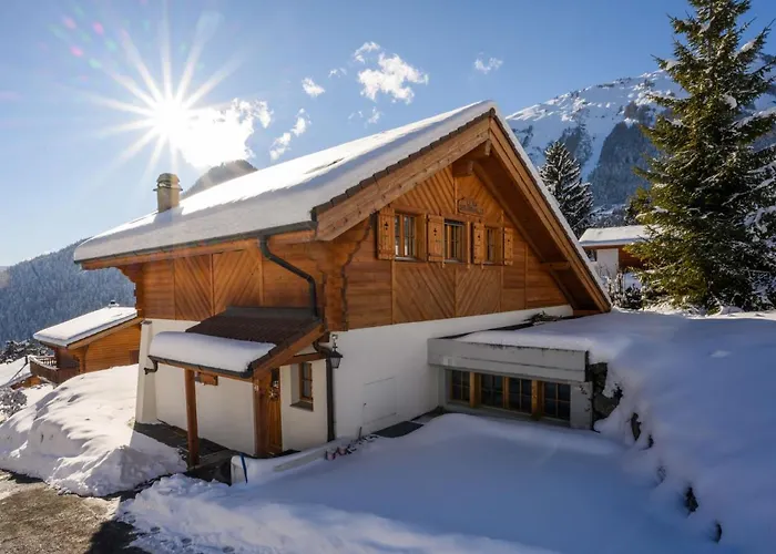 Six Des Armailles By Interhome Alpehytte Ovronnaz